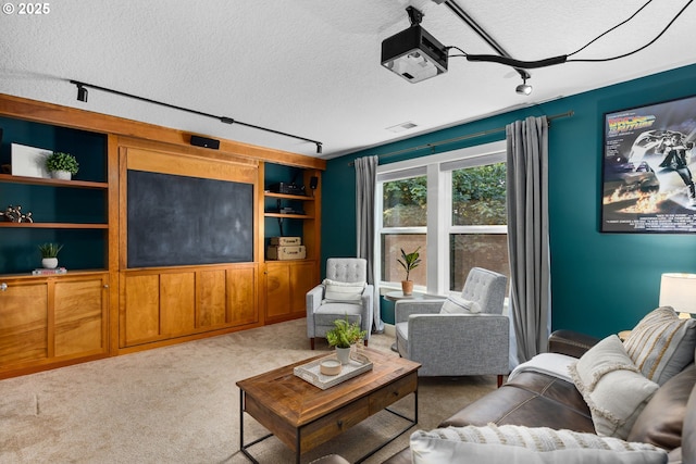 18287 SW Florendo Ln, Beaverton, OR 97007 - carpeted living area with a textured ceiling, built in shelves, and rail lighting