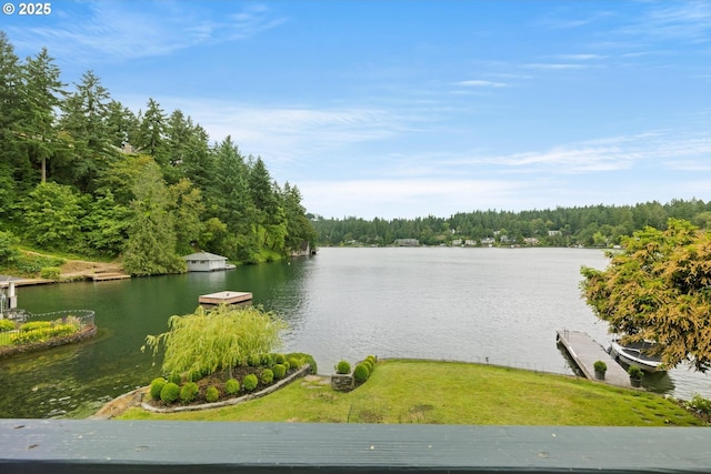 1667 Lake Front Rd, Lake Oswego, OR 97034 - water view with a forest and a boat dock