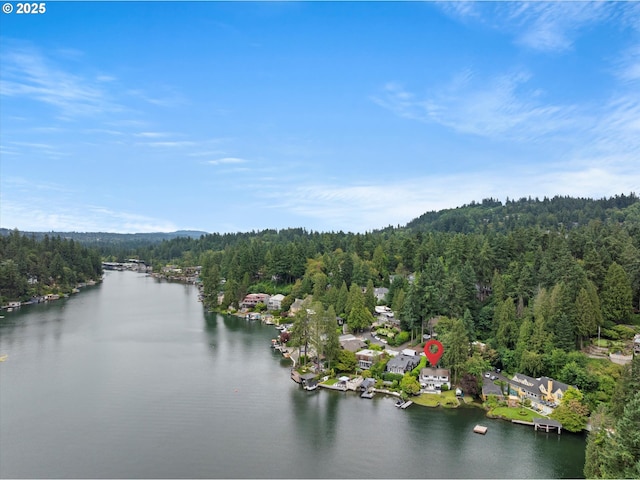 1667 Lake Front Rd, Lake Oswego, OR 97034 - bird's eye view of a forest and a nearby body of water