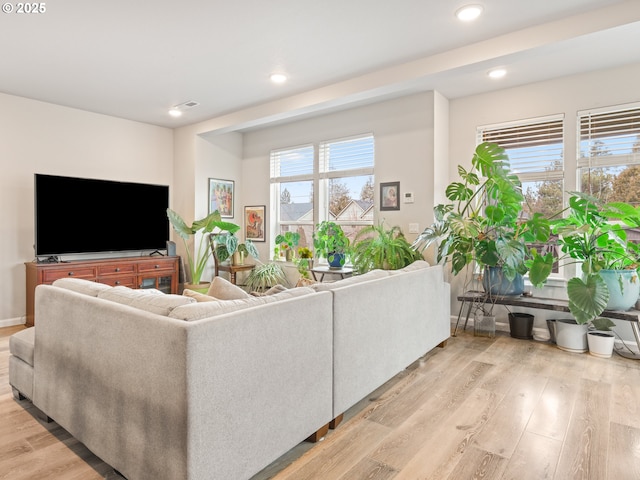 living room featuring light hardwood / wood-style flooring and a wealth of natural light