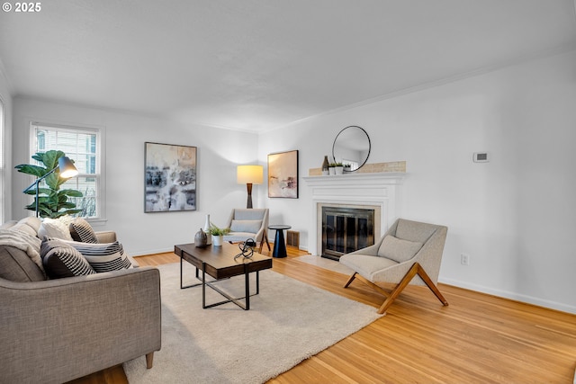 living room featuring light hardwood / wood-style flooring