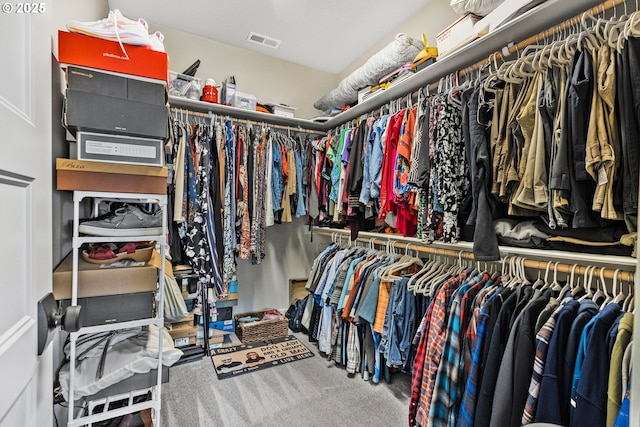 32750 Macy St, Eugene, OR 97408 - spacious closet with carpet