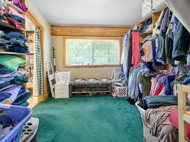 spacious closet featuring carpet flooring