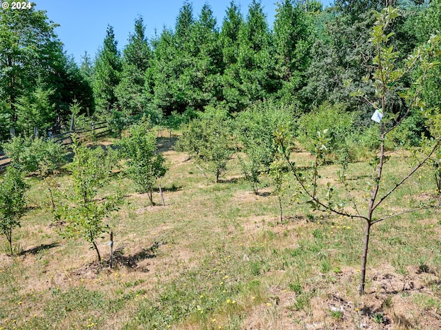 view of local wilderness