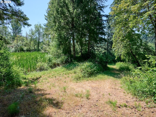 view of landscape with a forest view