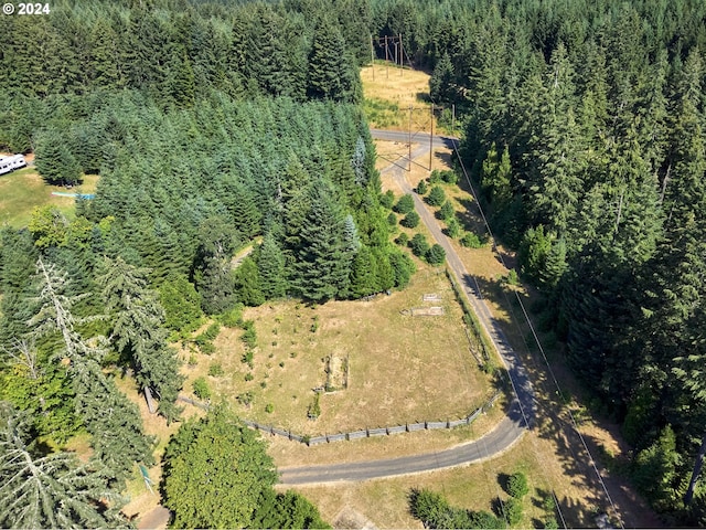 aerial view with a forest view