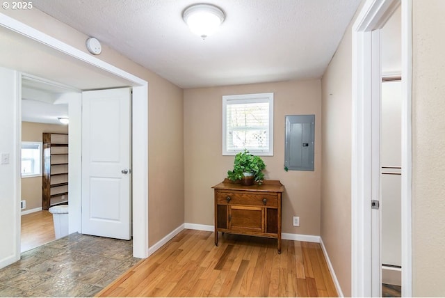 4976 NE K Ave, Neotsu, OR 97364 - living room featuring light wood-type flooring, a ceiling fan, and baseboards