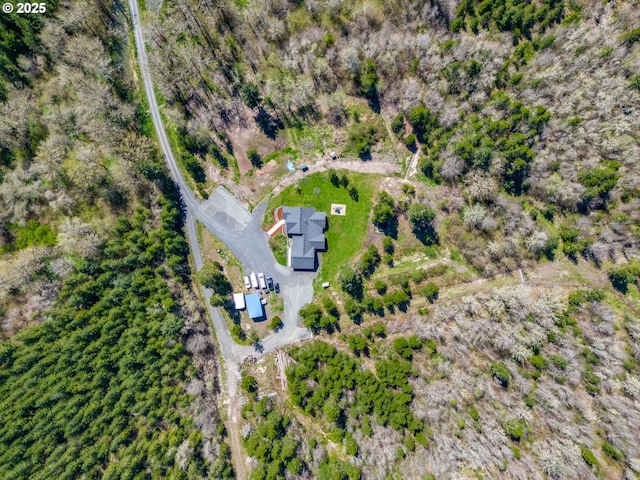 drone / aerial view