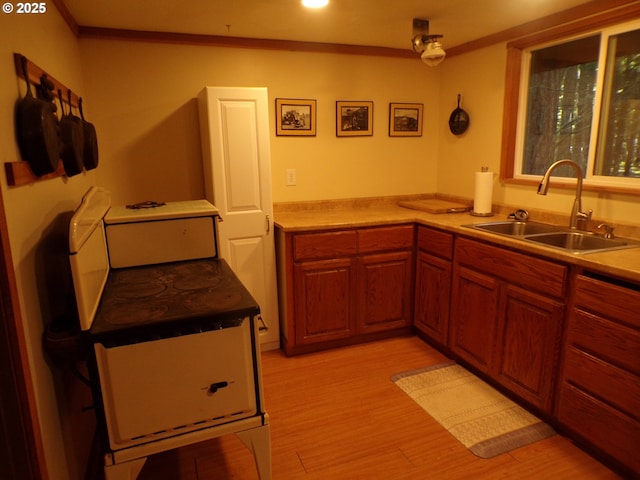 kitchen featuring light wood-style floors, ornamental molding, light countertops, and a sink