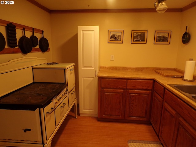 kitchen featuring ornamental molding, light wood-type flooring, light countertops, and a sink