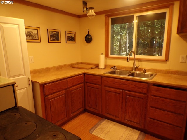 kitchen with light countertops, brown cabinetry, light wood-type flooring, and a sink