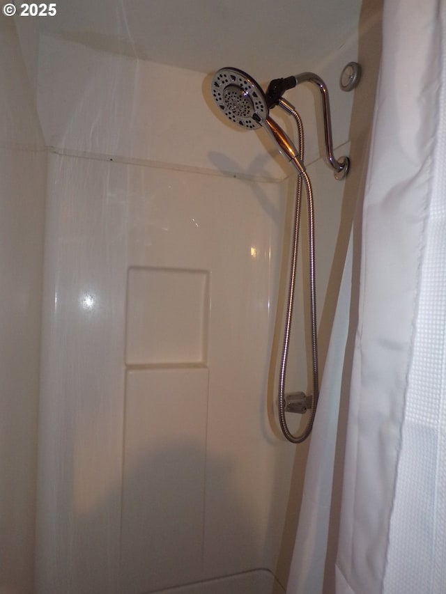 room details with a shower with curtain