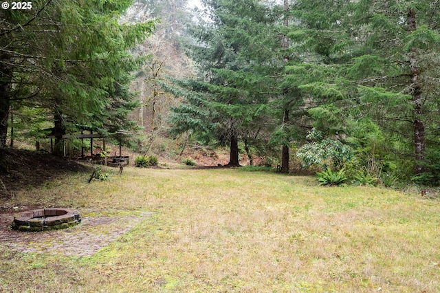 view of yard with an outdoor fire pit