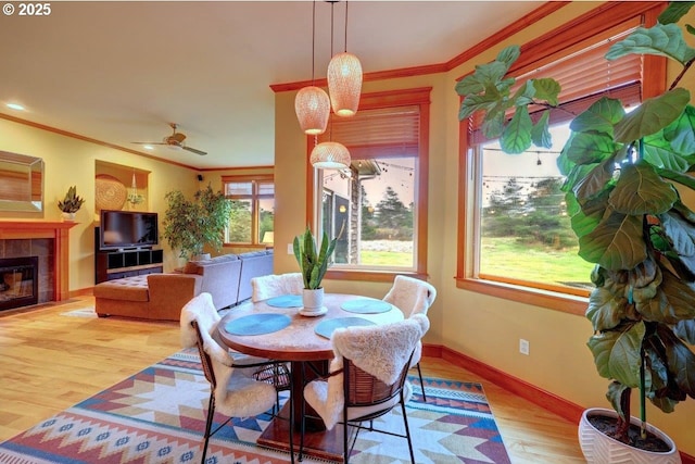 dining area featuring ceiling fan, light hardwood / wood-style flooring, a tile fireplace, and crown molding