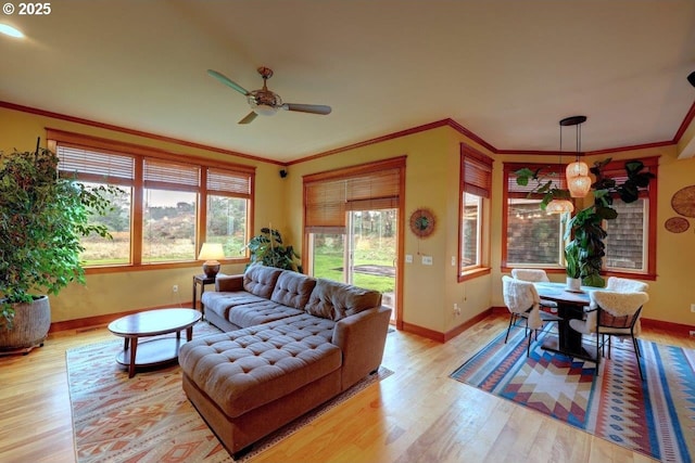 living room with ceiling fan, light hardwood / wood-style floors, and crown molding