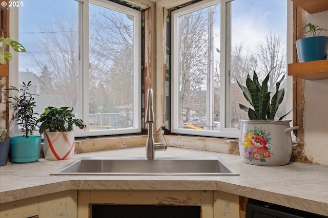 details featuring light countertops and a sink