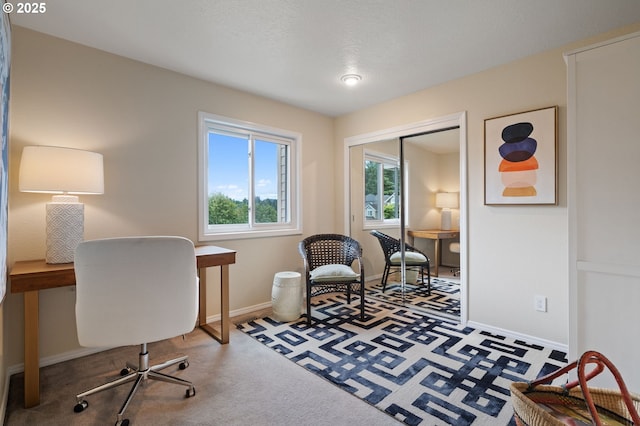 11442 SW Woodlee Heights Ct, Portland, OR 97219 - home office featuring carpet flooring and baseboards