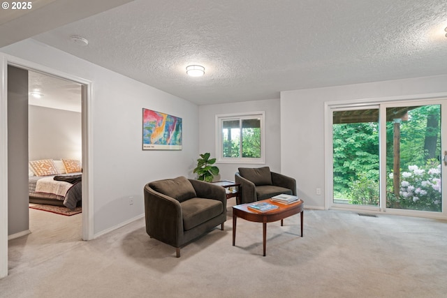 11442 SW Woodlee Heights Ct, Portland, OR 97219 - living area featuring carpet floors and a textured ceiling
