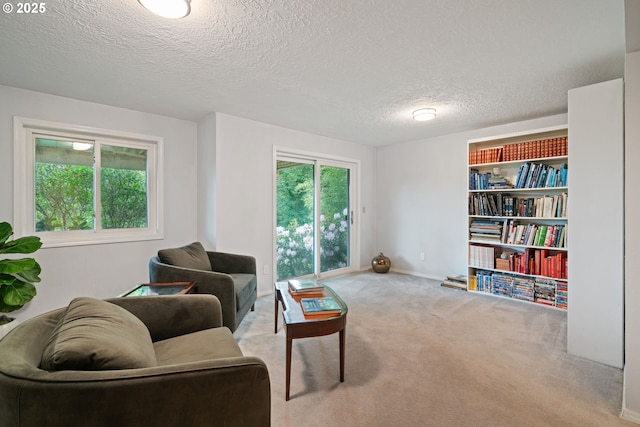 11442 SW Woodlee Heights Ct, Portland, OR 97219 - living area with plenty of natural light, carpet flooring, and a textured ceiling