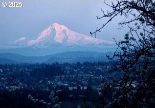 3701 SW Condor Ave Unit C2, Portland, OR 97239 - view of mountain backdrop
