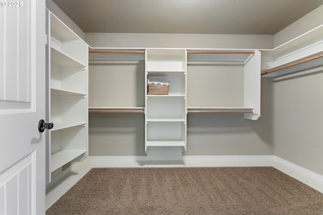 7102 SW 78th Ave, Portland, OR 97223 - walk in closet featuring carpet