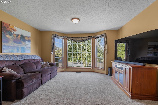 3003 NE 164th St, Ridgefield, WA 98642 - living area with carpet and a textured ceiling