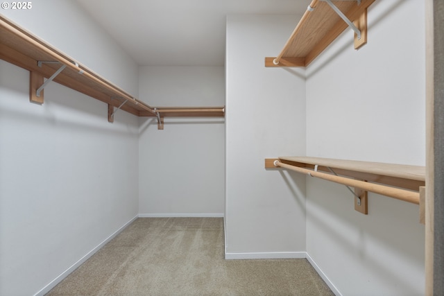 spacious closet featuring light colored carpet