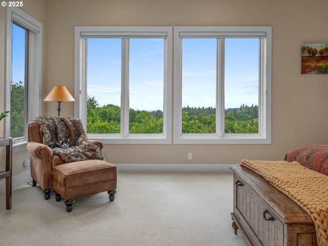 9320 NW Skyview Ct, Portland, OR 97231 - living area featuring carpet and healthy amount of natural light