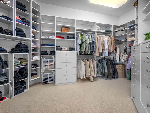 9320 NW Skyview Ct, Portland, OR 97231 - spacious closet with carpet
