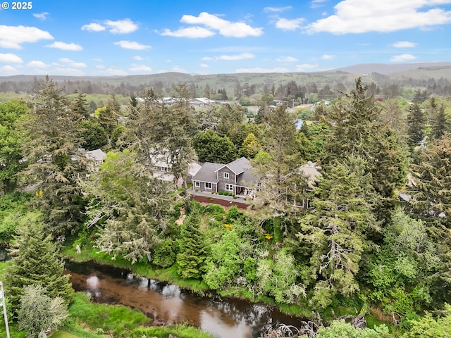 196 Dylan Ct, Gearhart, OR 97138 - view from above of property featuring a forest and a mountain backdrop