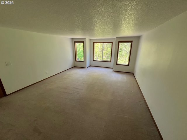 2217 NE 179th St Unit 22, Ridgefield, WA 98642 - unfurnished room featuring baseboards, a textured ceiling, and light carpet