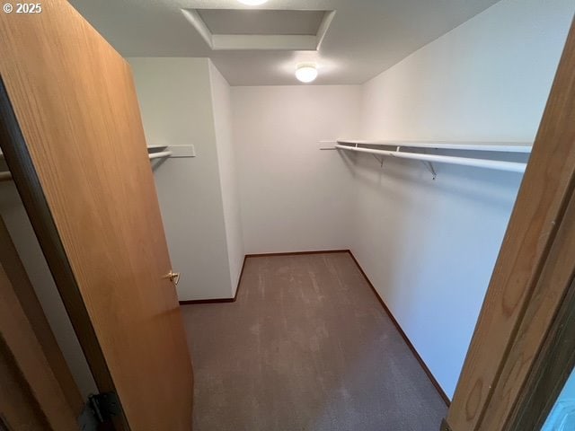 2217 NE 179th St Unit 22, Ridgefield, WA 98642 - walk in closet with attic access and carpet flooring