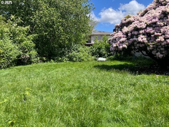 13727 SE Raymond St, Portland, OR 97236 - view of yard