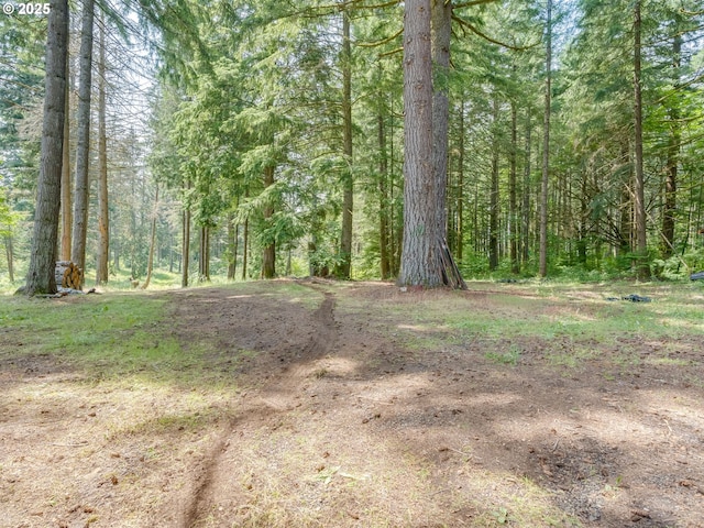 24873 S Beeson Rd, Beavercreek, OR 97004 - view of wooded area