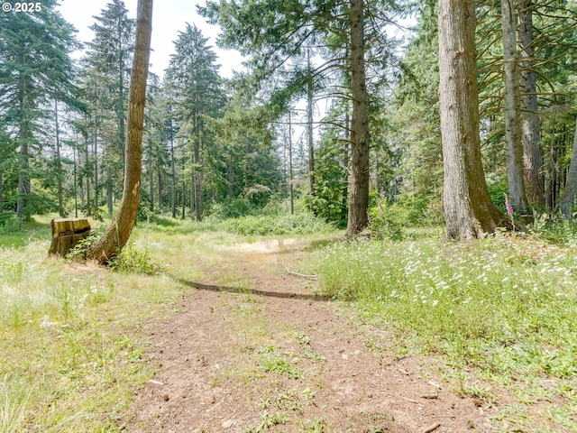 24873 S Beeson Rd, Beavercreek, OR 97004 - view of wooded area