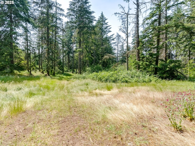 24873 S Beeson Rd, Beavercreek, OR 97004 - view of undeveloped land