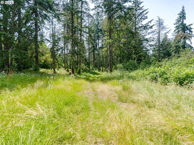 24873 S Beeson Rd, Beavercreek, OR 97004 - view of woods