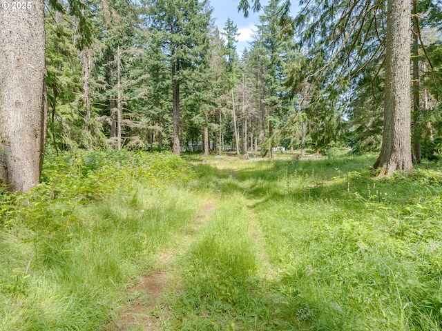24873 S Beeson Rd, Beavercreek, OR 97004 - view of tree filled area