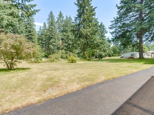 24873 S Beeson Rd, Beavercreek, OR 97004 - view of green lawn