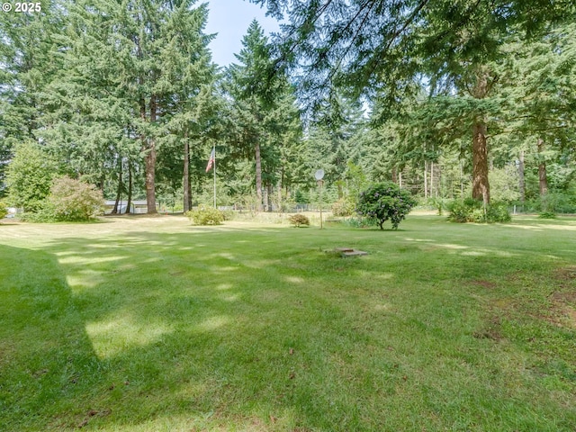 24873 S Beeson Rd, Beavercreek, OR 97004 - view of green lawn