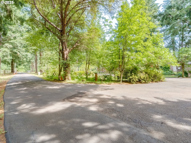 24873 S Beeson Rd, Beavercreek, OR 97004 - view of asphalt street