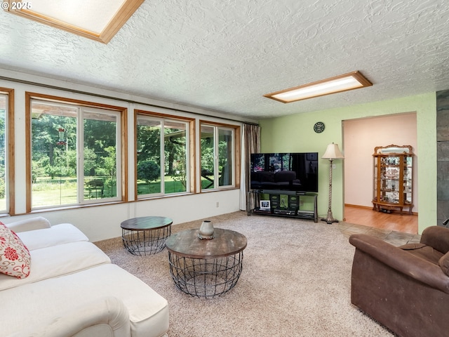 24873 S Beeson Rd, Beavercreek, OR 97004 - carpeted living room with a textured ceiling