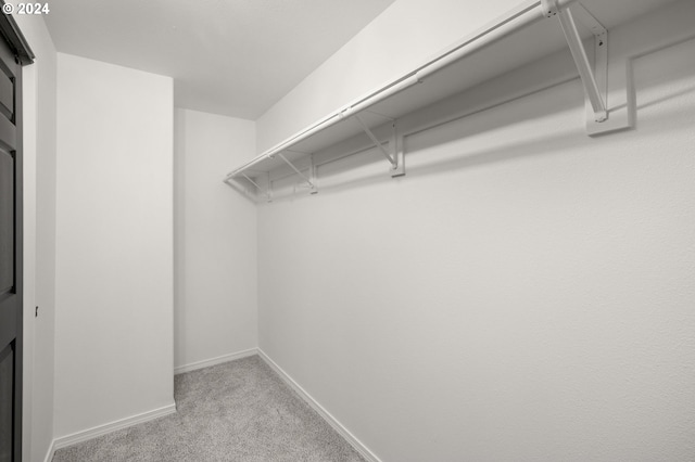 spacious closet with carpet flooring