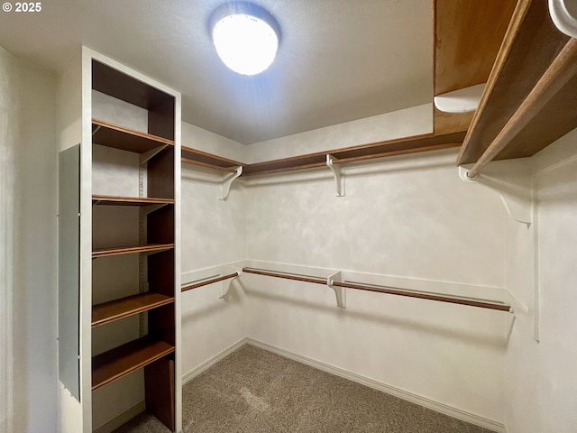 2180 Hayes St, North Bend, OR 97459 - spacious closet with carpet flooring