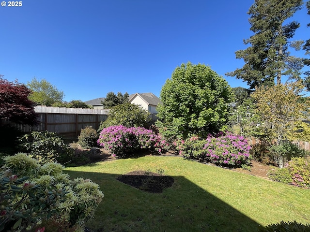2180 Hayes St, North Bend, OR 97459 - view of yard