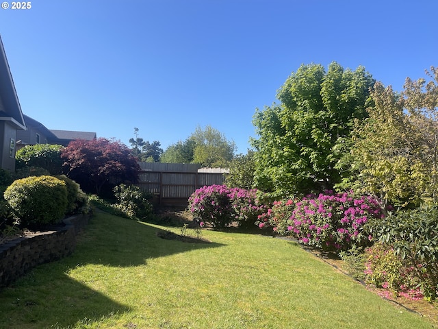 2180 Hayes St, North Bend, OR 97459 - view of yard