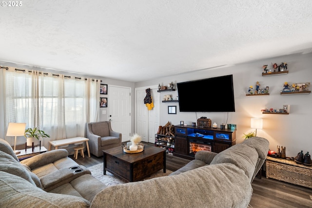 living room featuring wood-type flooring and a textured ceiling