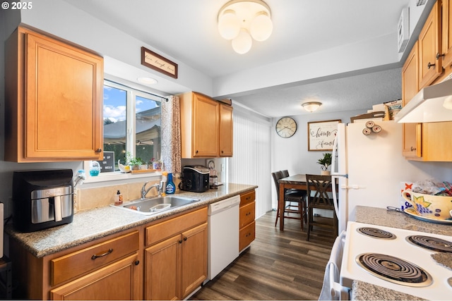 kitchen with dark hardwood / wood-style floors, sink, and white appliances