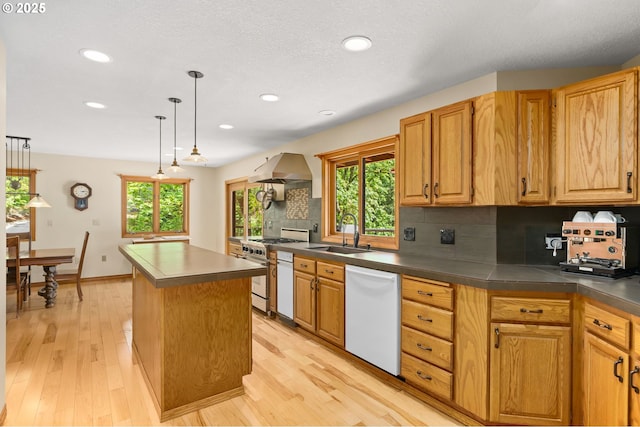 kitchen with dishwasher, a sink, high end stainless steel range, a kitchen island, and extractor fan