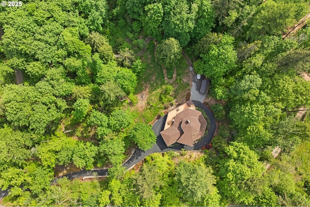 aerial overview of property's location